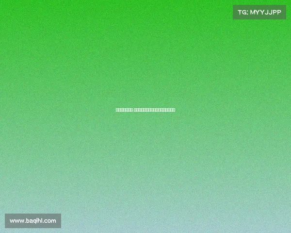 提升体能与技艺 武术培训助你塑造强健体魄与精神风貌